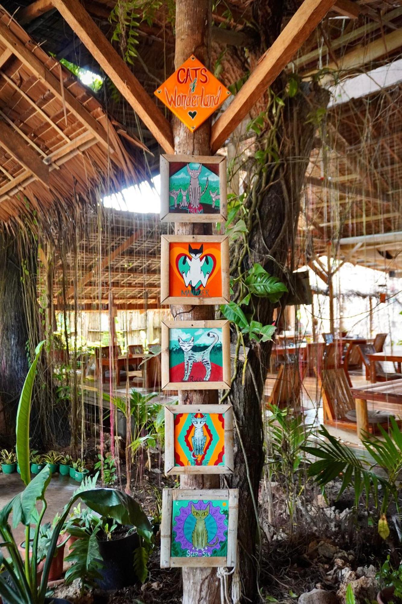 Wonderland Otel Siquijor Dış mekan fotoğraf